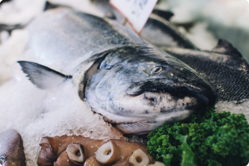 Färsk fisk på is i fiskdisk